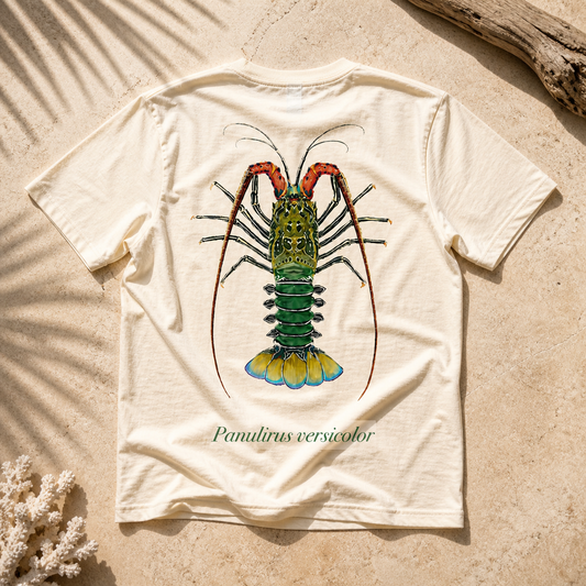 PAINTED ROCK LOBSTER
