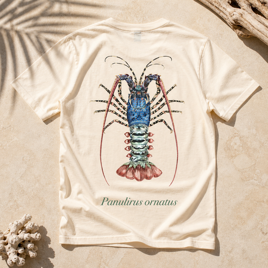 ORNATE CRAYFISH