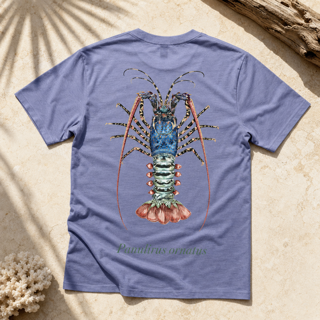 ORNATE CRAYFISH