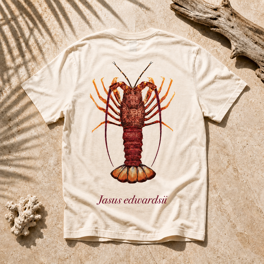 SOUTHERN ROCK LOBSTER