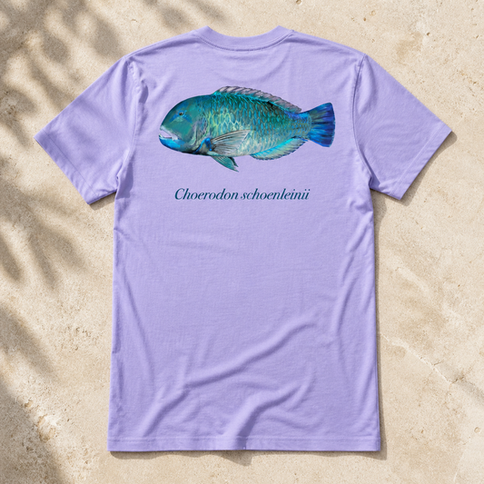 BLACKSPOT TUSKFISH