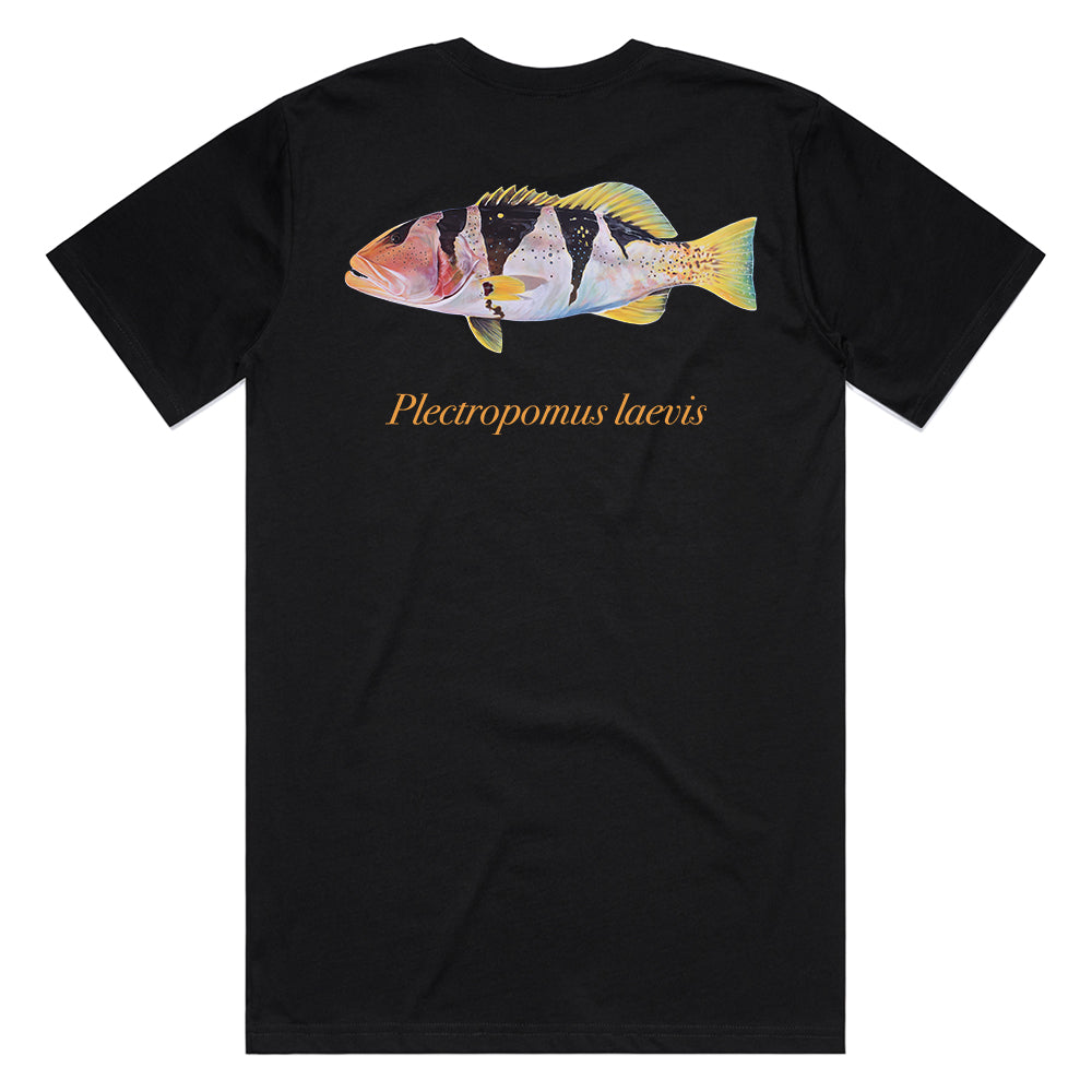 FOOTBALLER CORAL TROUT TEE