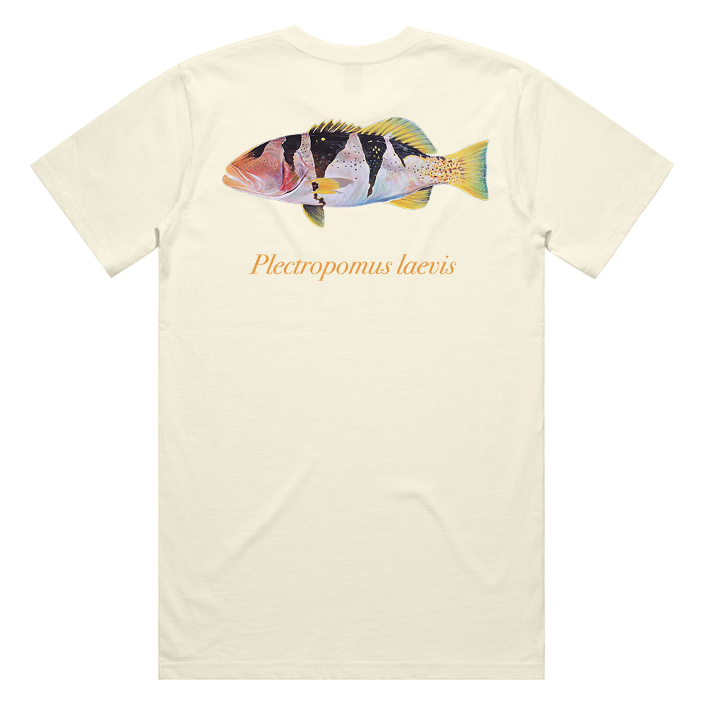FOOTBALLER CORAL TROUT TEE