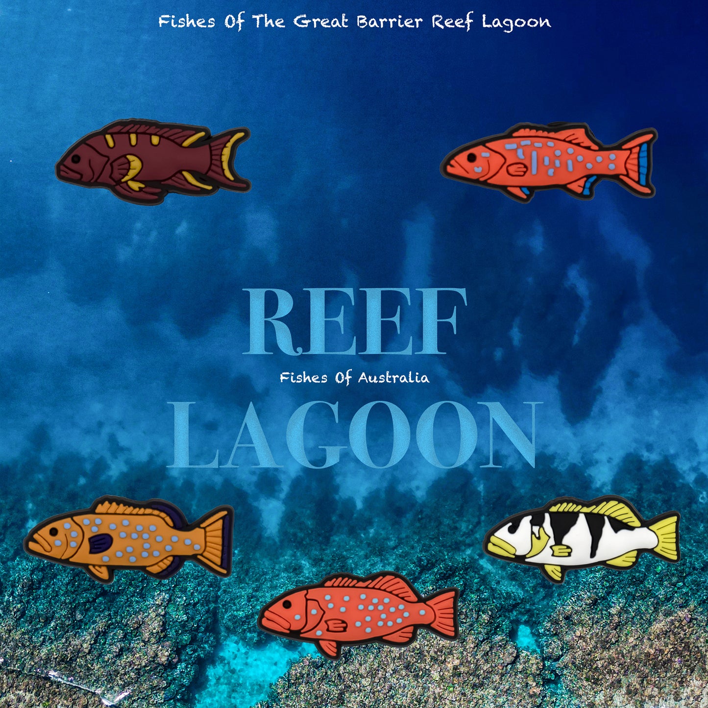 FISH PACKS