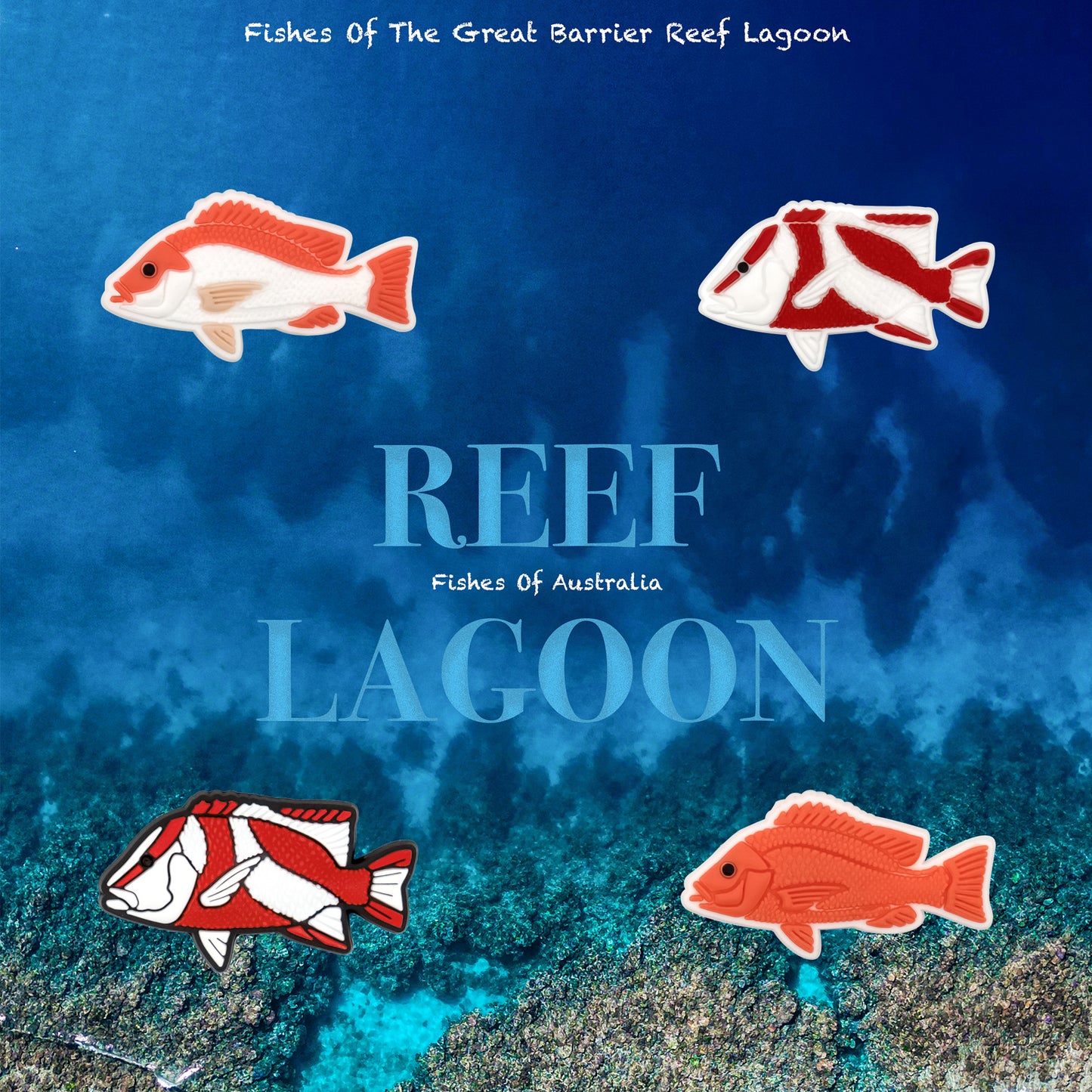 FISH PACKS