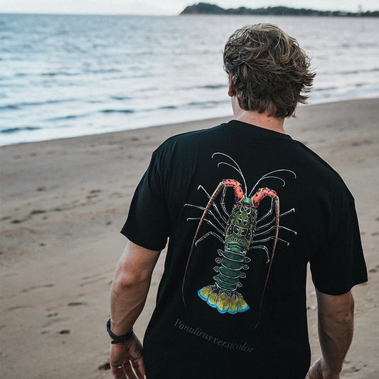 PAINTED ROCK LOBSTER