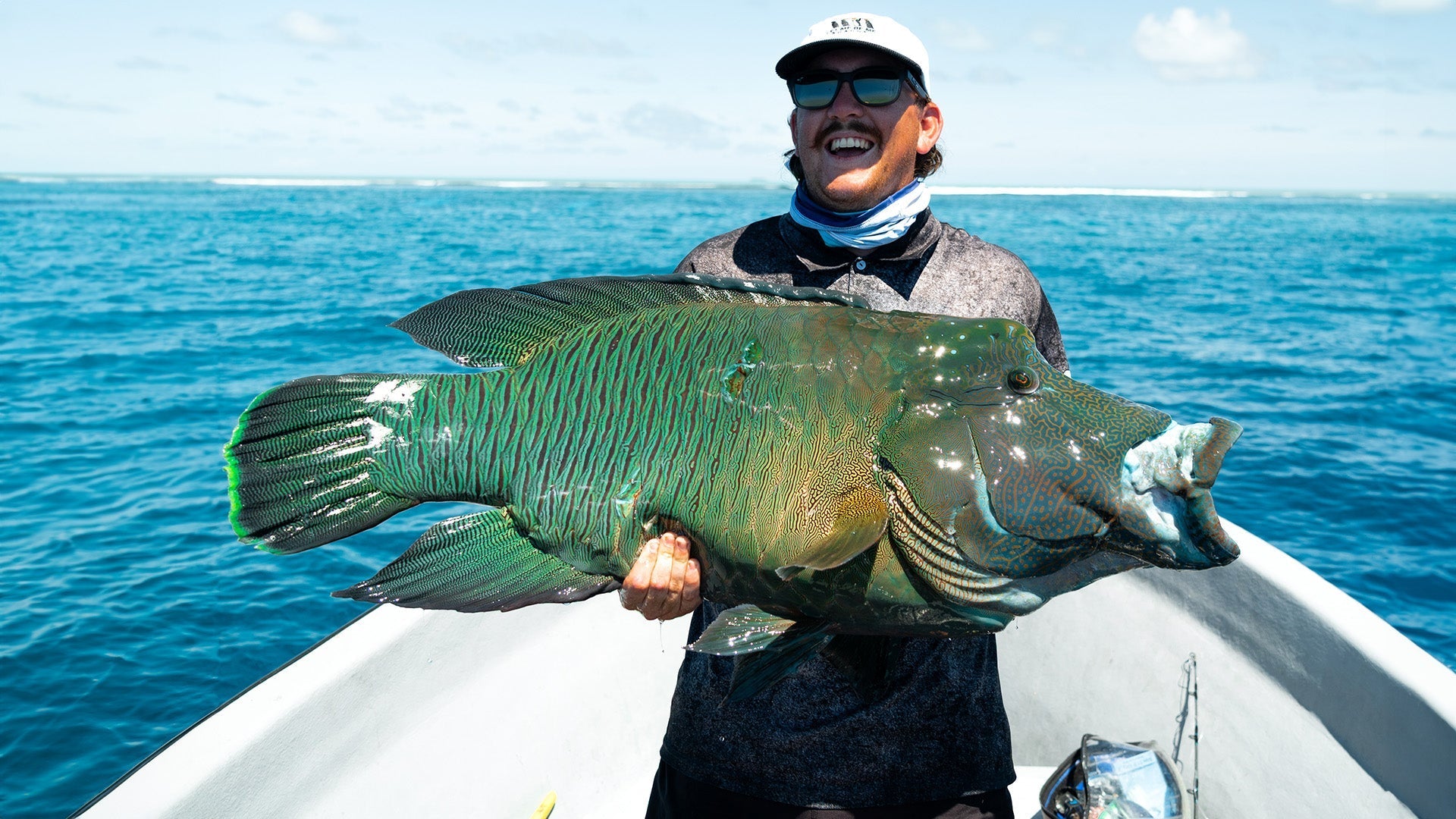 CATCHING GIANTS
