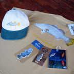 Barramundi Bundle