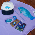 Blackspot Tuskfish Bundle