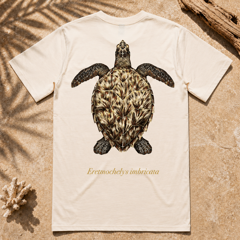 Hawksbill Turtle (Coming Soon)