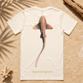 LEOPARD SHARK (Coming Soon)