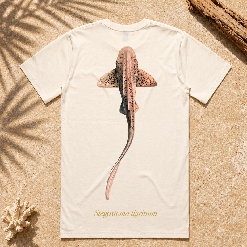 LEOPARD SHARK (Coming Soon)