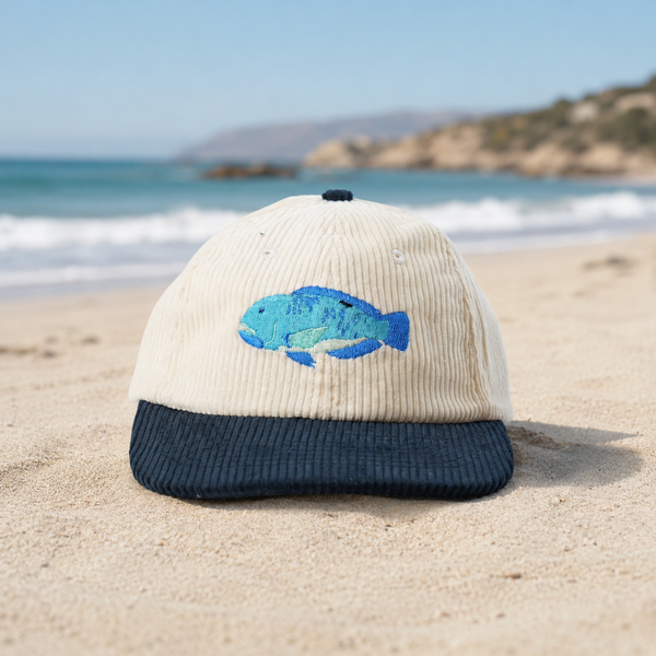 Blackspot Tuskfish Corduroy Cap