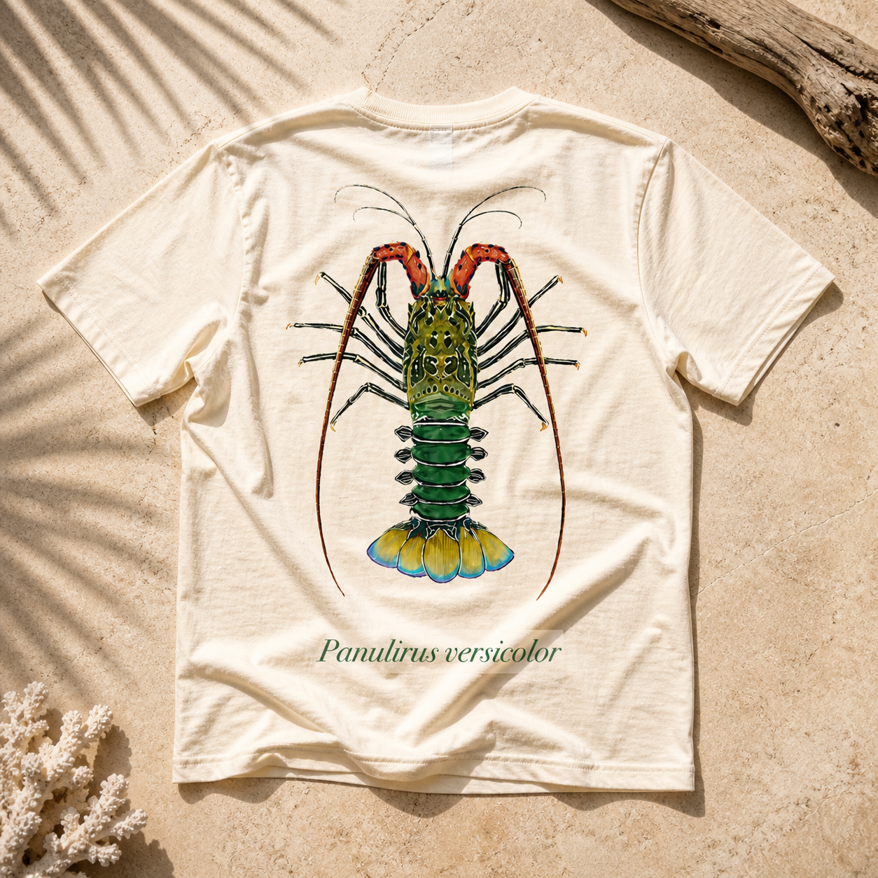 PAINTED ROCK LOBSTER