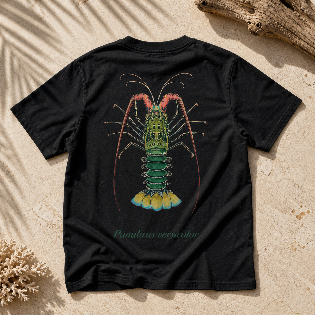 PAINTED ROCK LOBSTER