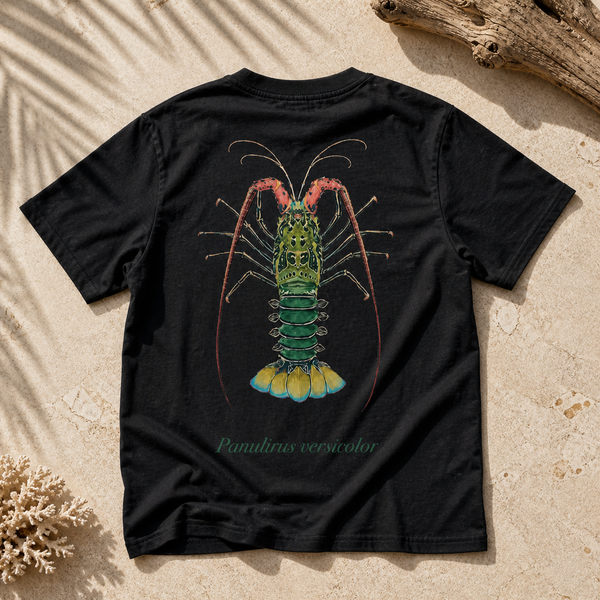PAINTED ROCK LOBSTER