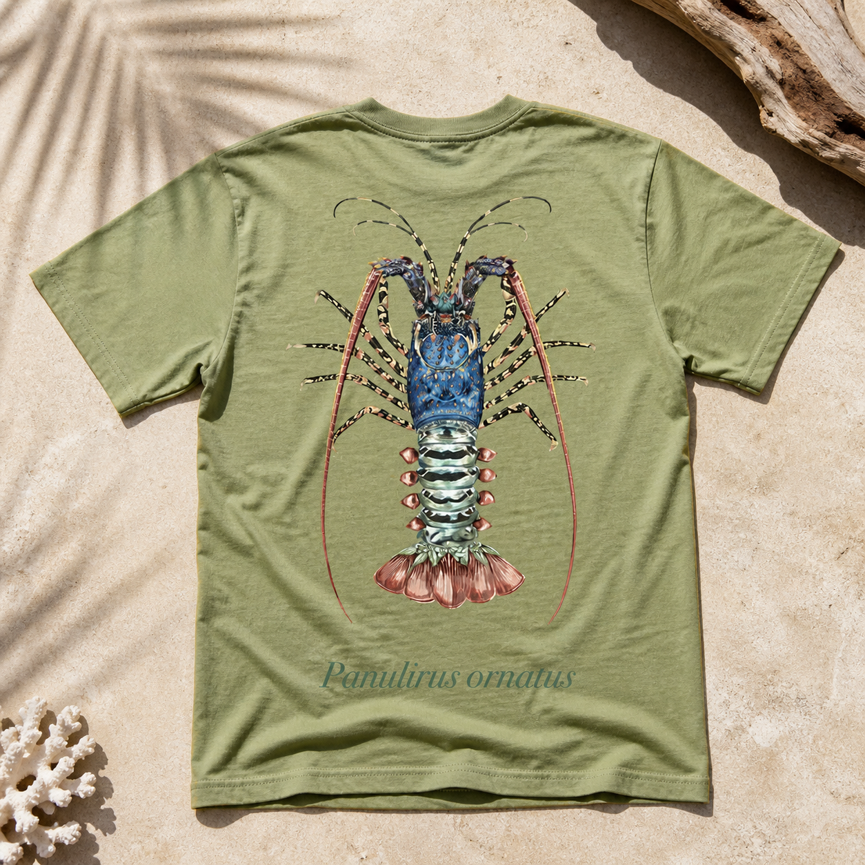 ORNATE CRAYFISH