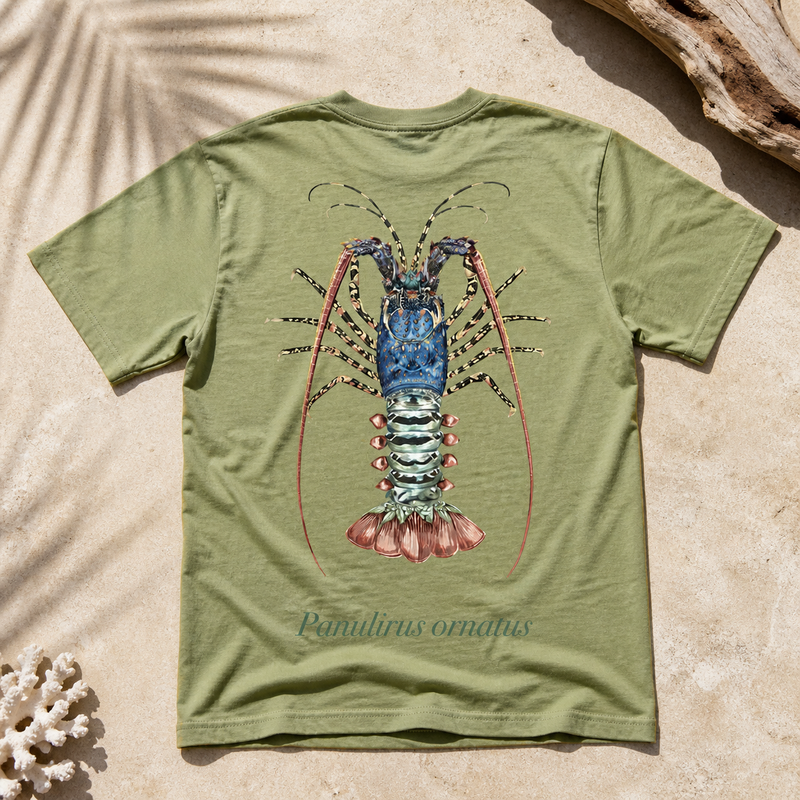 ORNATE CRAYFISH