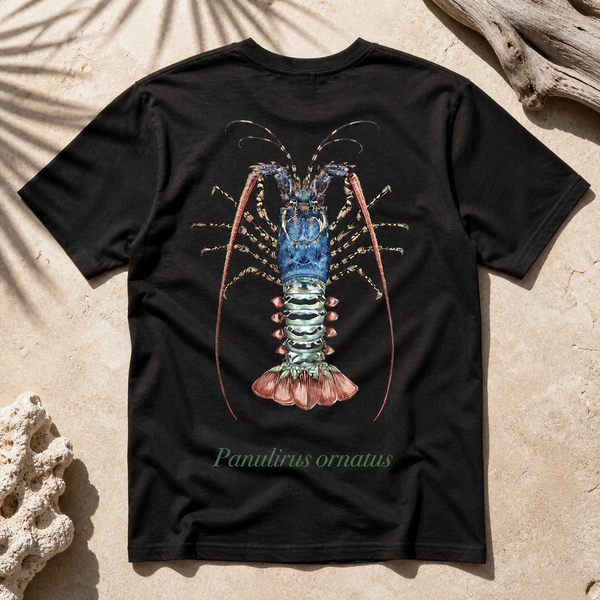 ORNATE CRAYFISH