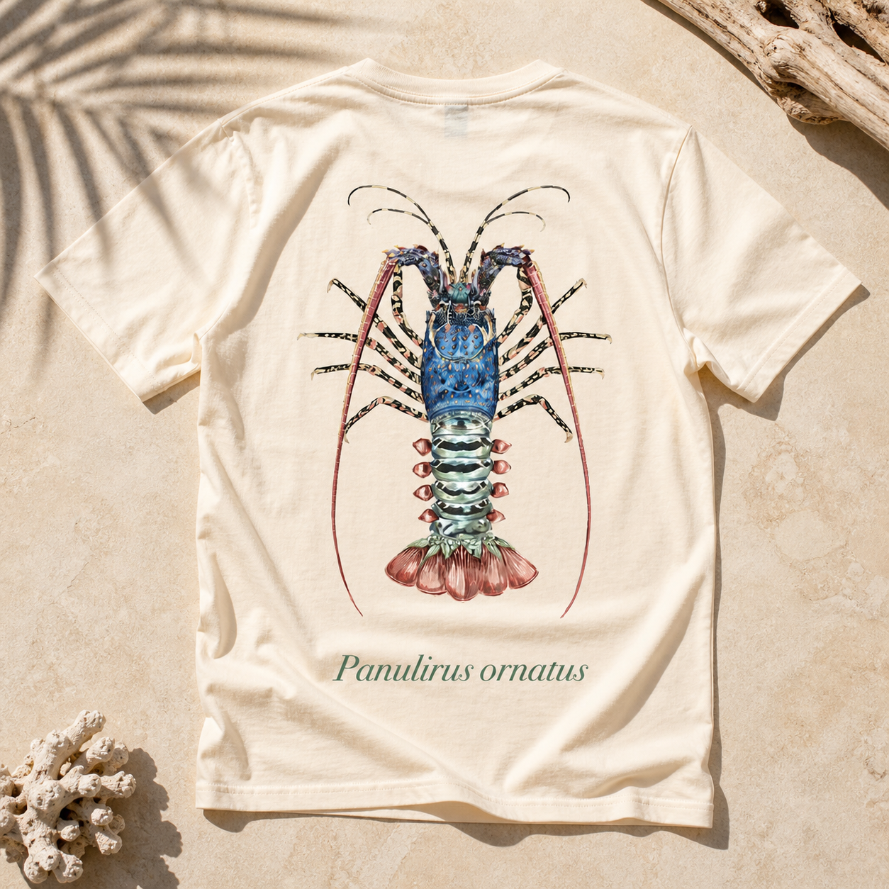 ORNATE CRAYFISH
