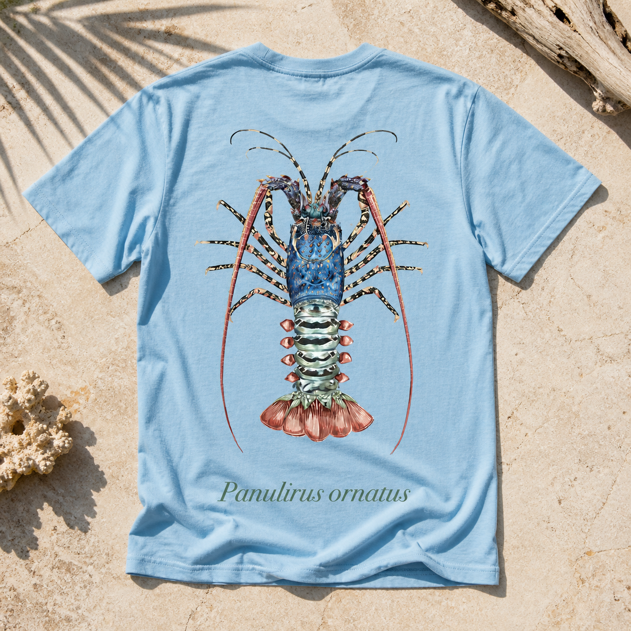 ORNATE CRAYFISH
