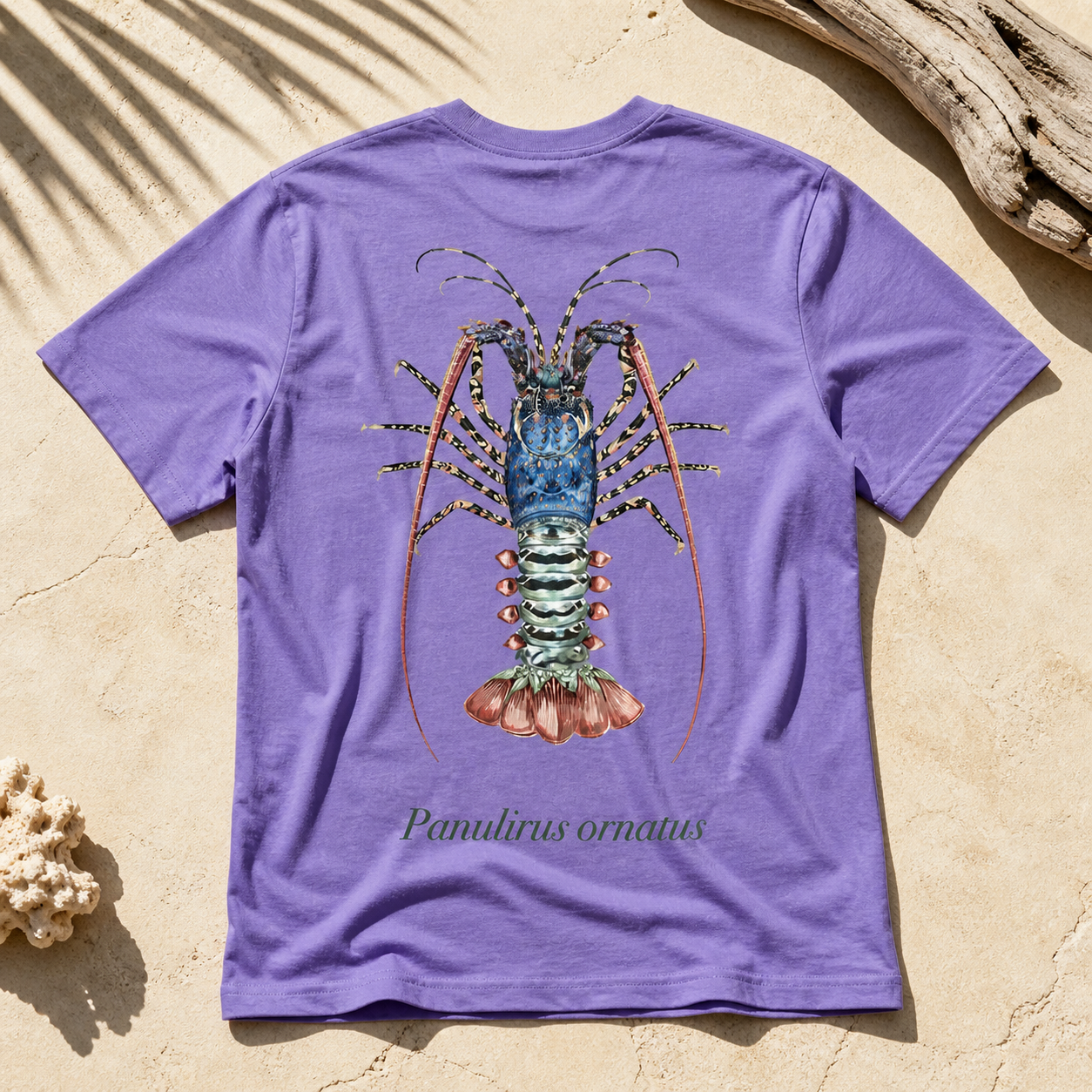 ORNATE CRAYFISH