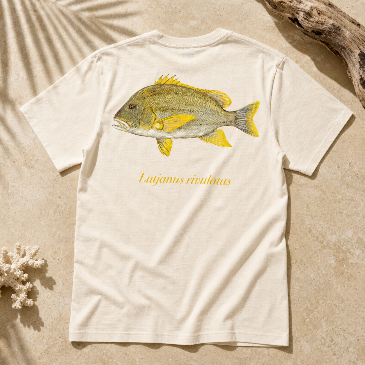 MAORI SEA PERCH