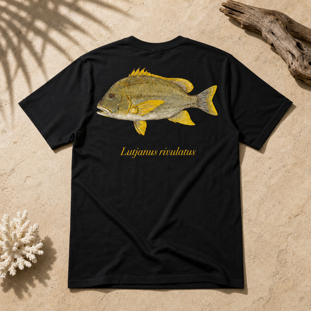 MAORI SEA PERCH
