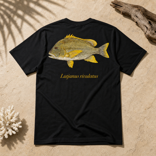 MAORI SEA PERCH
