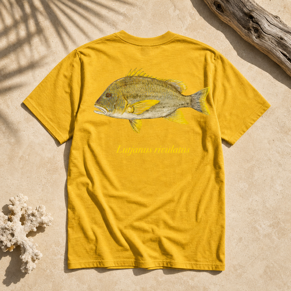 MAORI SEA PERCH