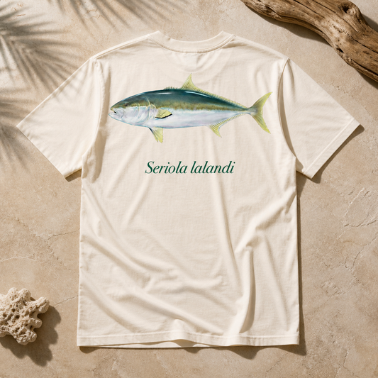 YELLOWTAIL KINGFISH