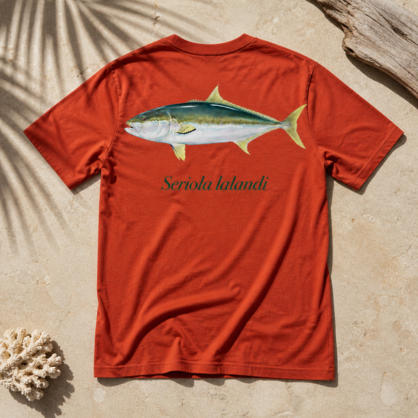 YELLOWTAIL KINGFISH