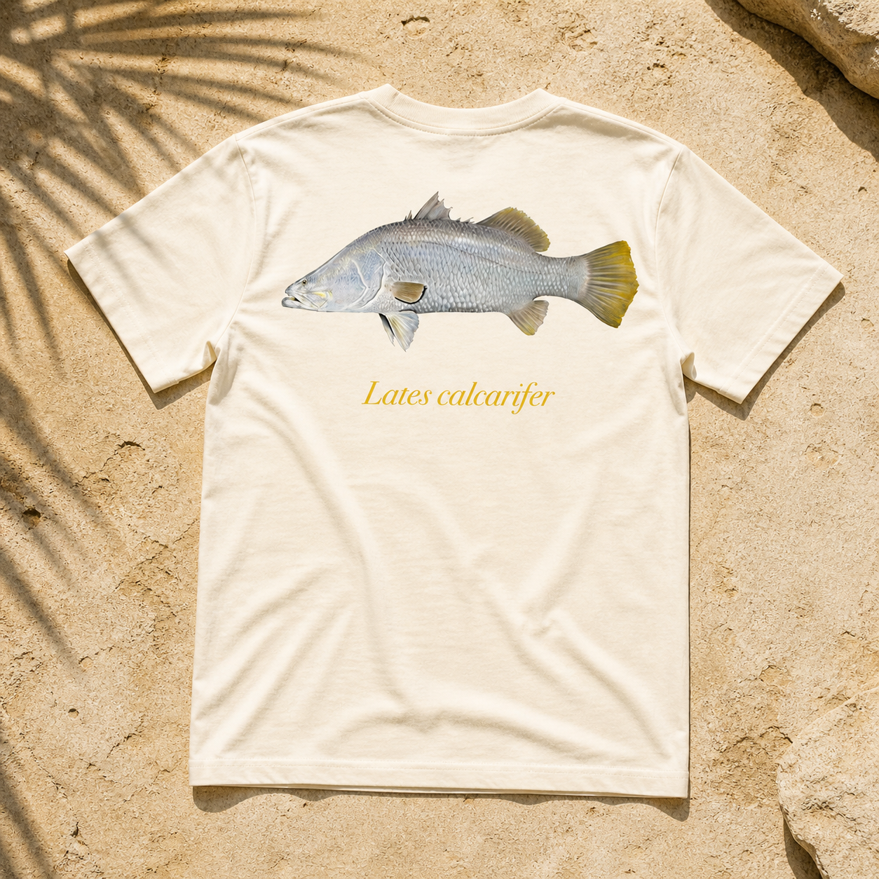 BARRAMUNDI