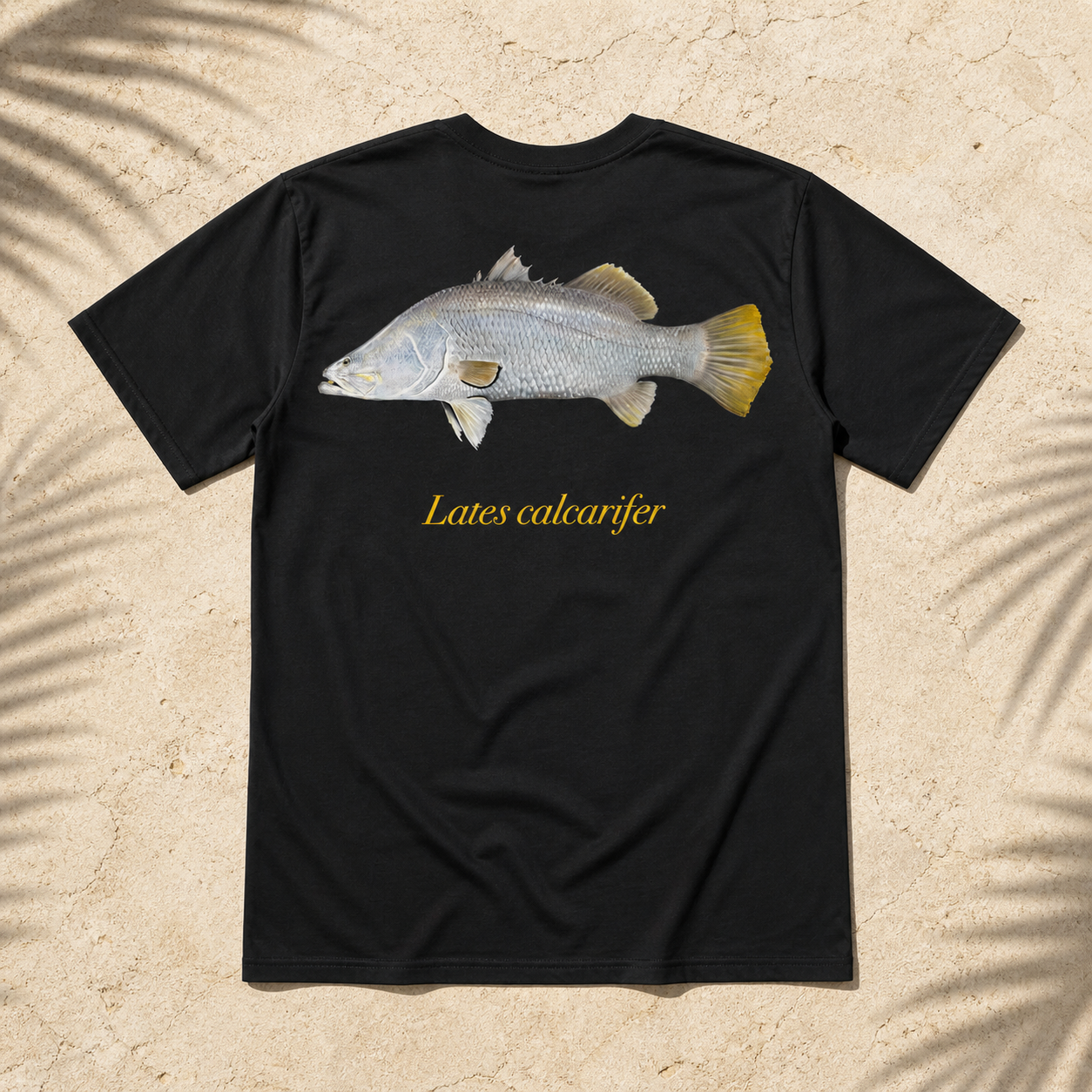 BARRAMUNDI