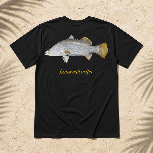 BARRAMUNDI