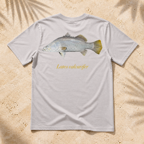 BARRAMUNDI