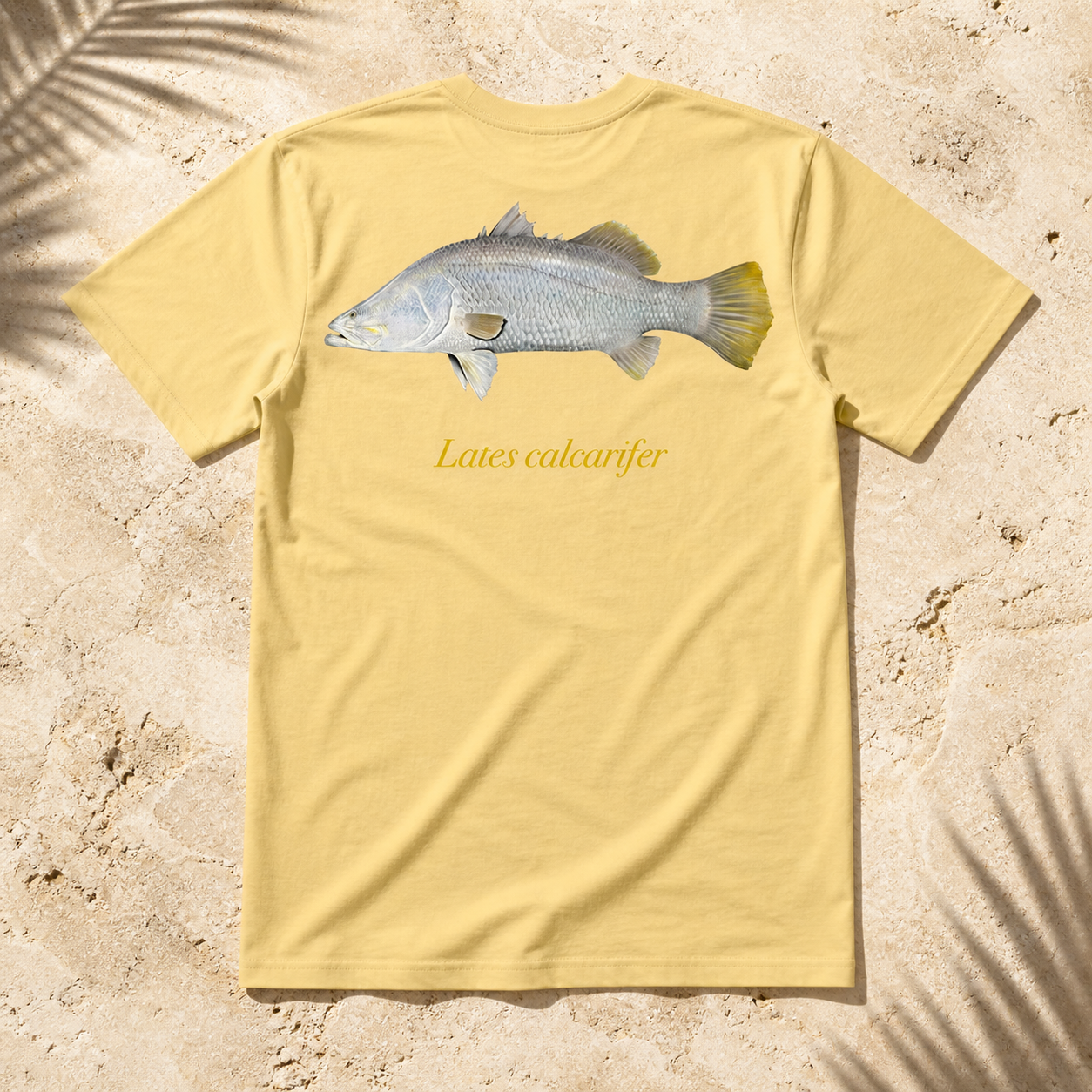 BARRAMUNDI