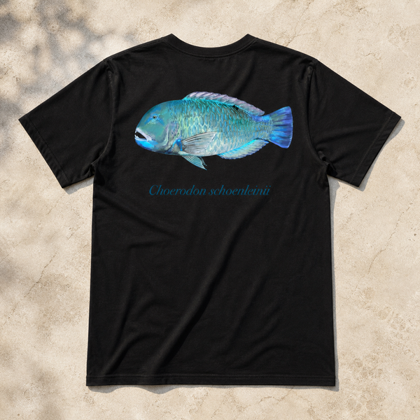 BLACKSPOT TUSKFISH