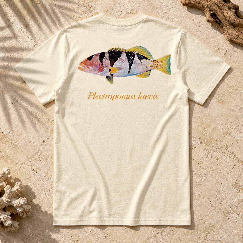 FOOTBALLER CORAL TROUT