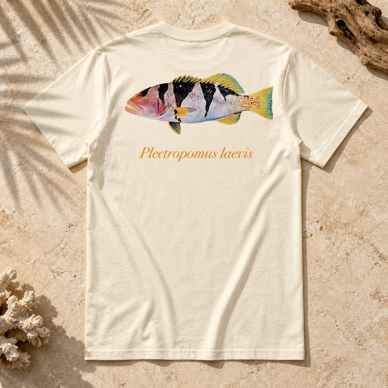 FOOTBALLER CORAL TROUT