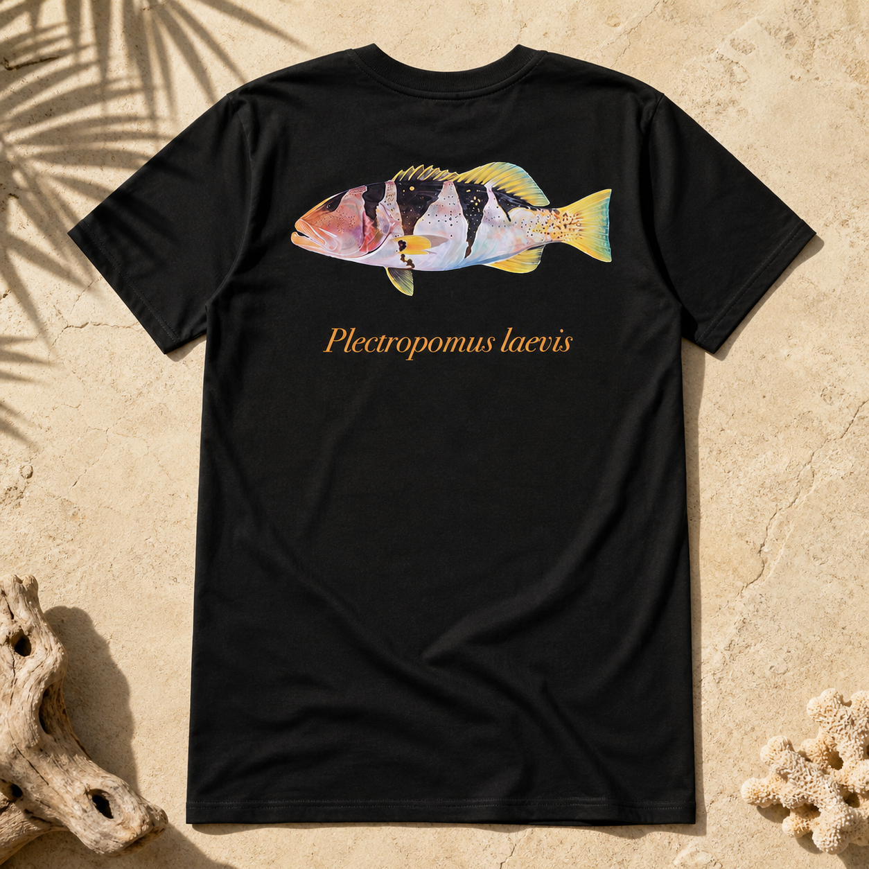 FOOTBALLER CORAL TROUT