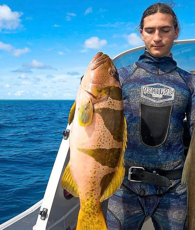 Footballer Coral Trout — the real fish