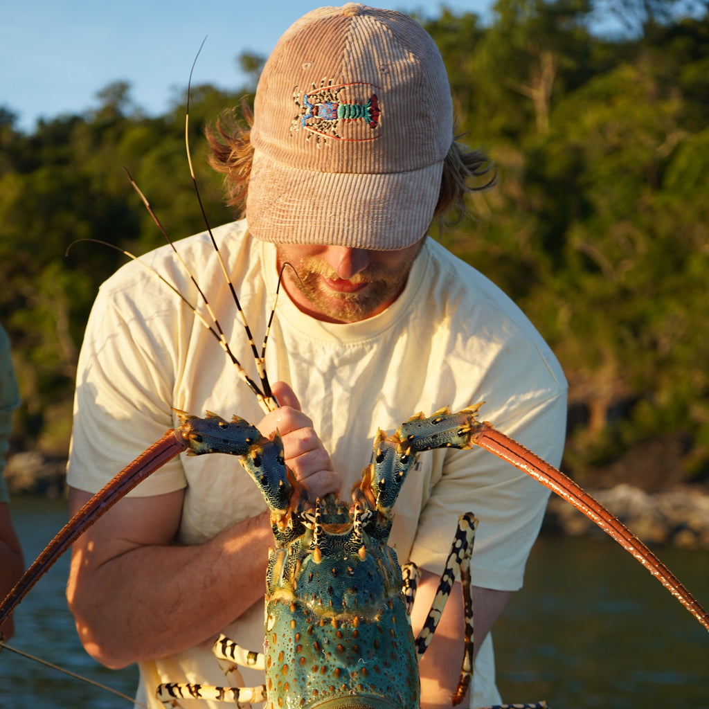 Ornate Rock Lobster Corduroy Cap