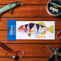 FISH DECAL TRANSFER STICKERS