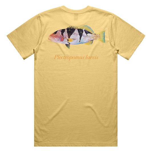 Footballer Coral Trout Tee