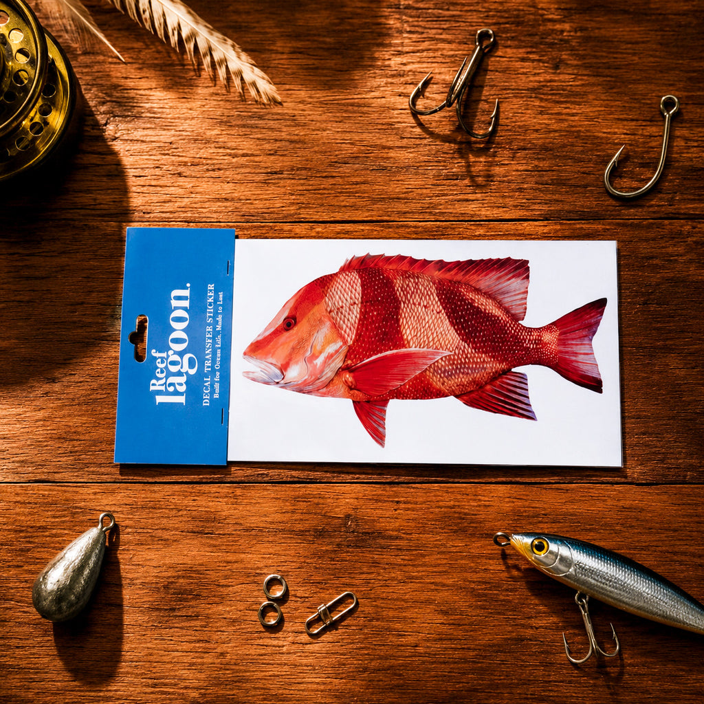 FISH DECAL TRANSFER STICKERS