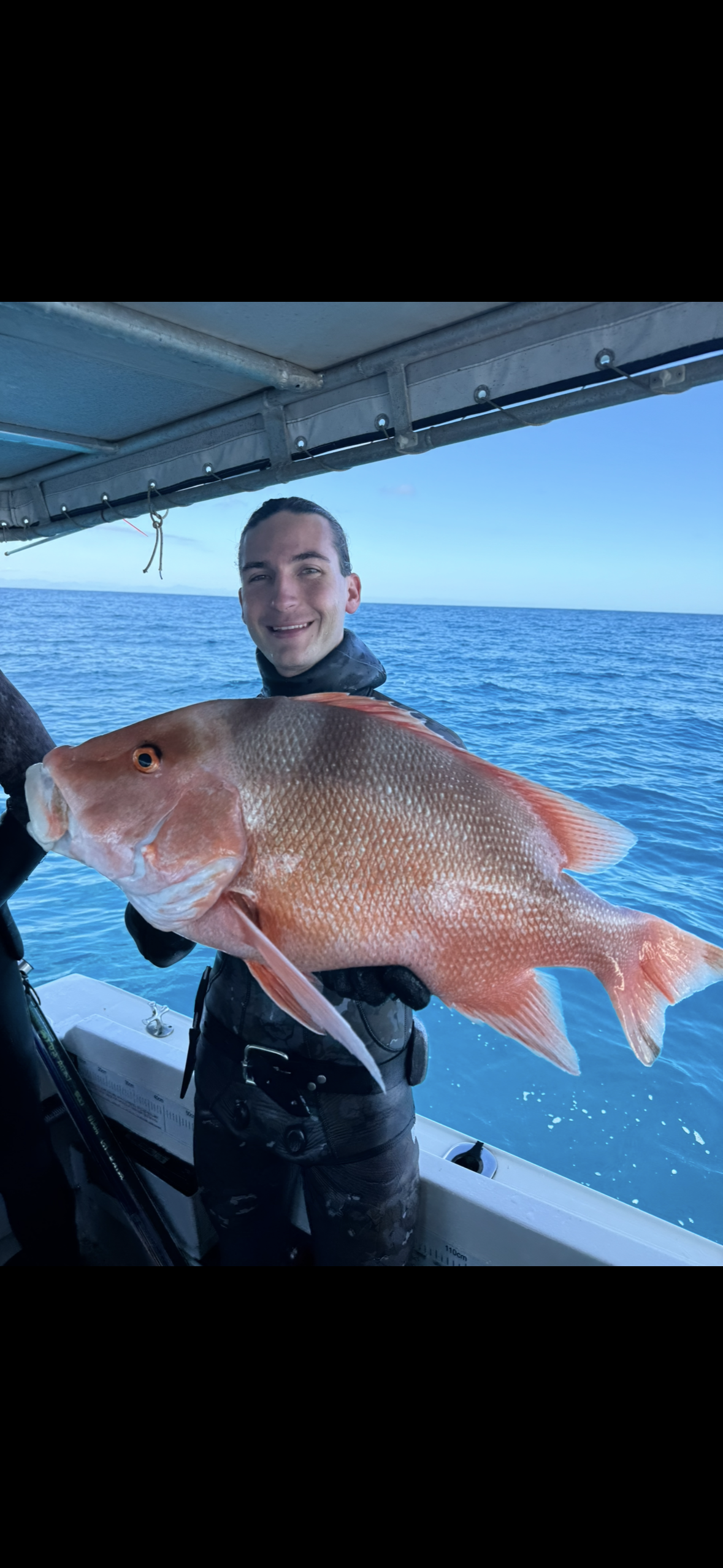 Red Emperor — Reef Lagoon species