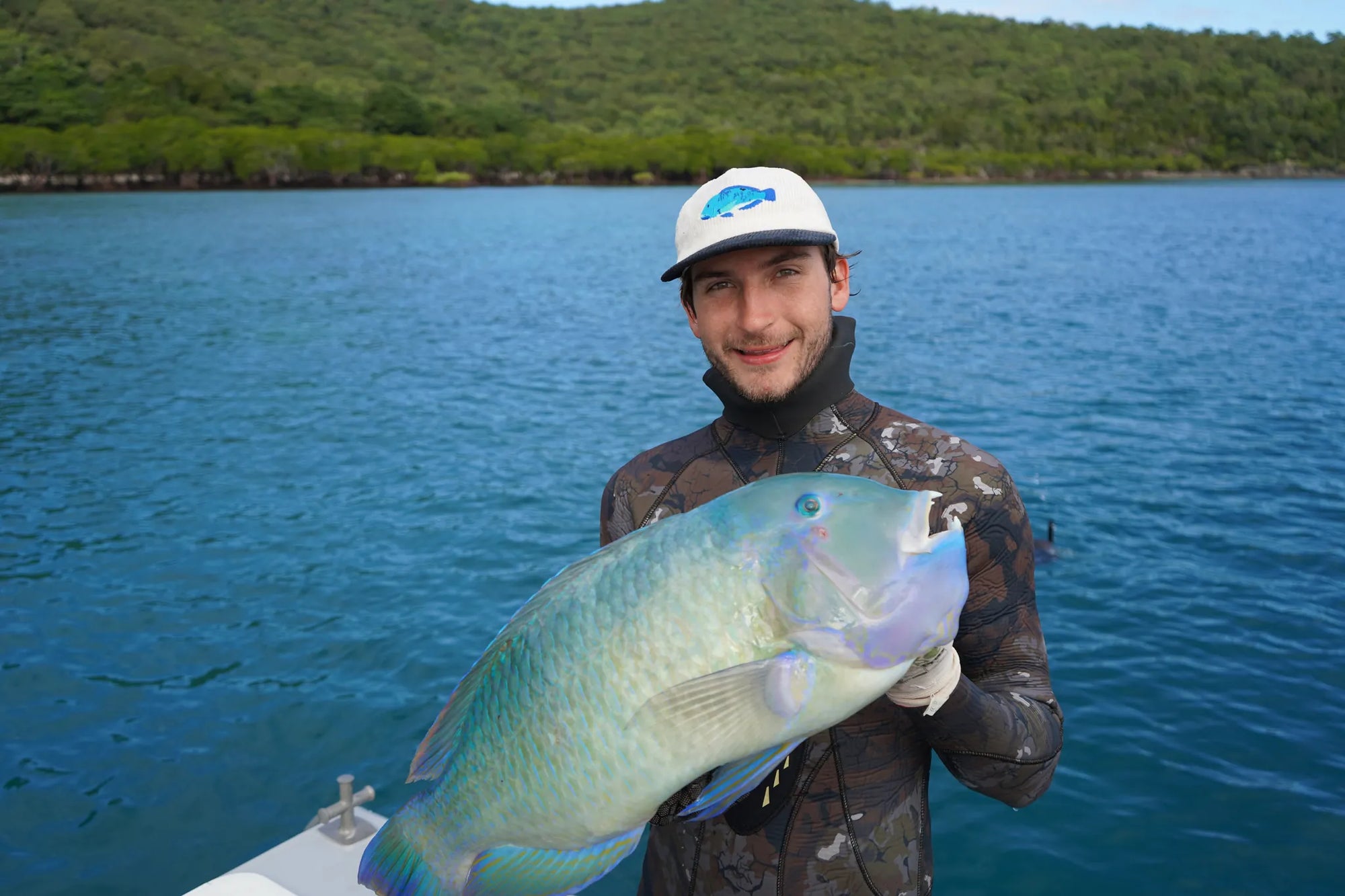 Blackspot Tuskfish — Reef Lagoon species