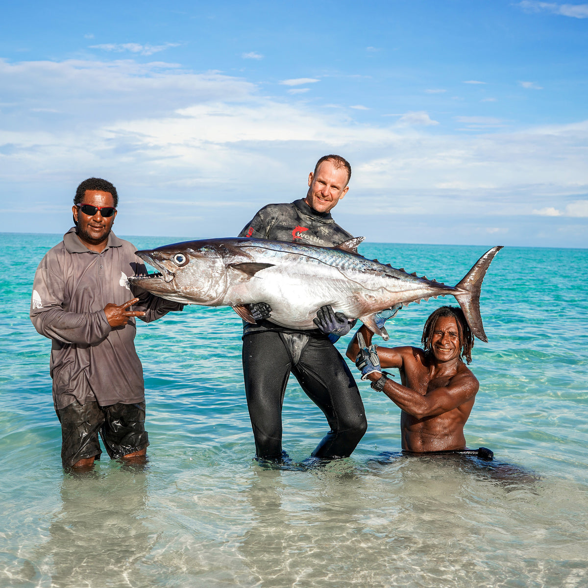 Dogtooth tuna held in shallow water after a Reef Lagoon Charters spearfishing expedition in Papua New Guinea