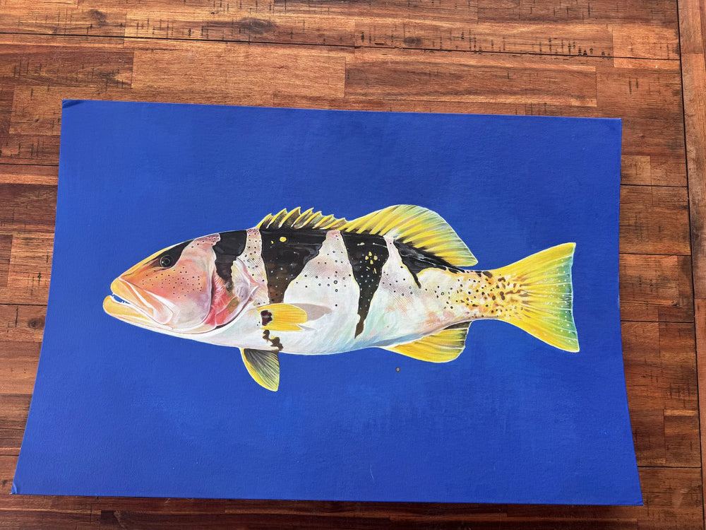 Footballer Coral Trout — the hand-painted canvas